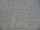 SDC13146